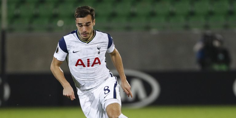 Pundit suggests Newcastle could be ideal option for Harry Winks