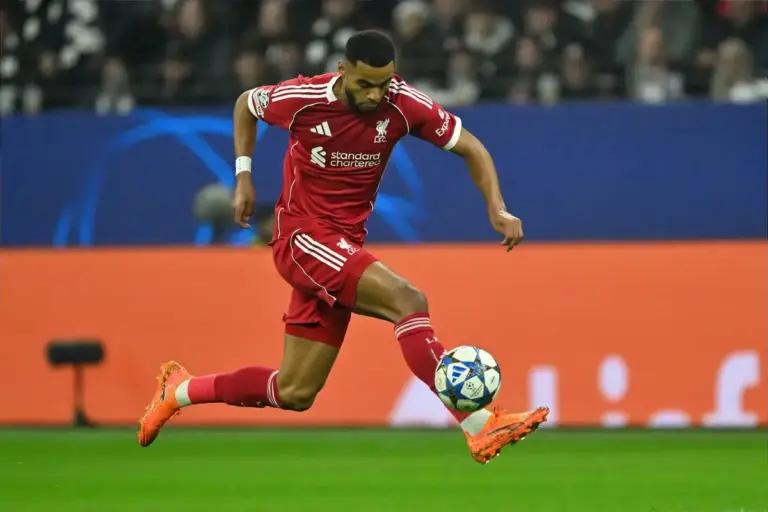 Newcastle United on alert as Liverpool consider Cody Gakpo sale
