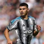 Newcastle’s Fernandez-Pardo returns to Belgium squad for France clash