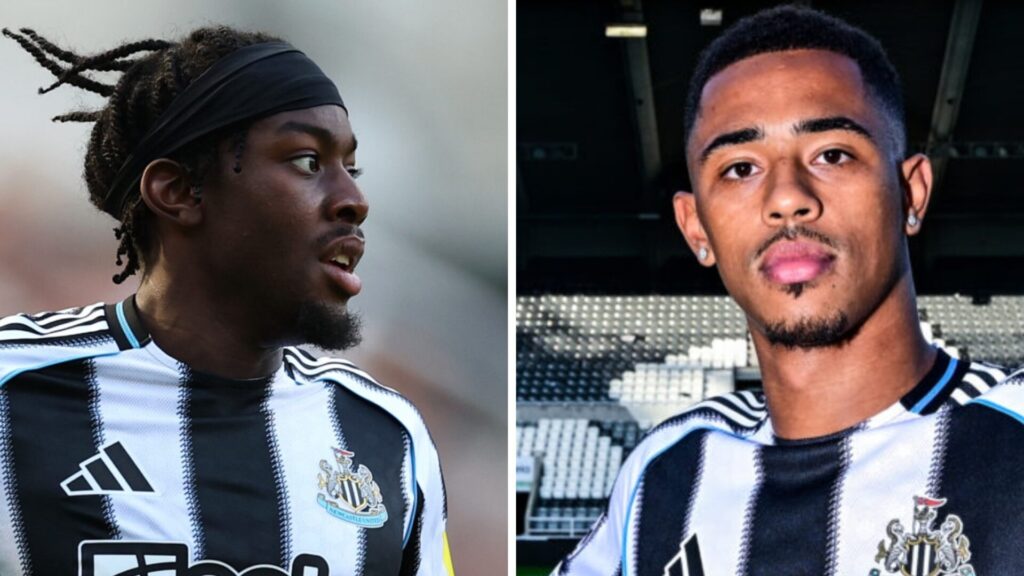 Newcastle United injury news